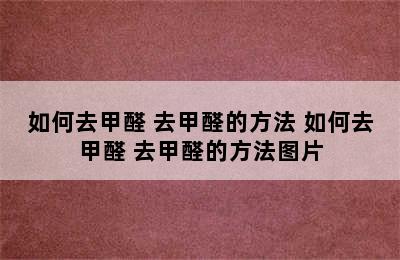 如何去甲醛 去甲醛的方法 如何去甲醛 去甲醛的方法图片